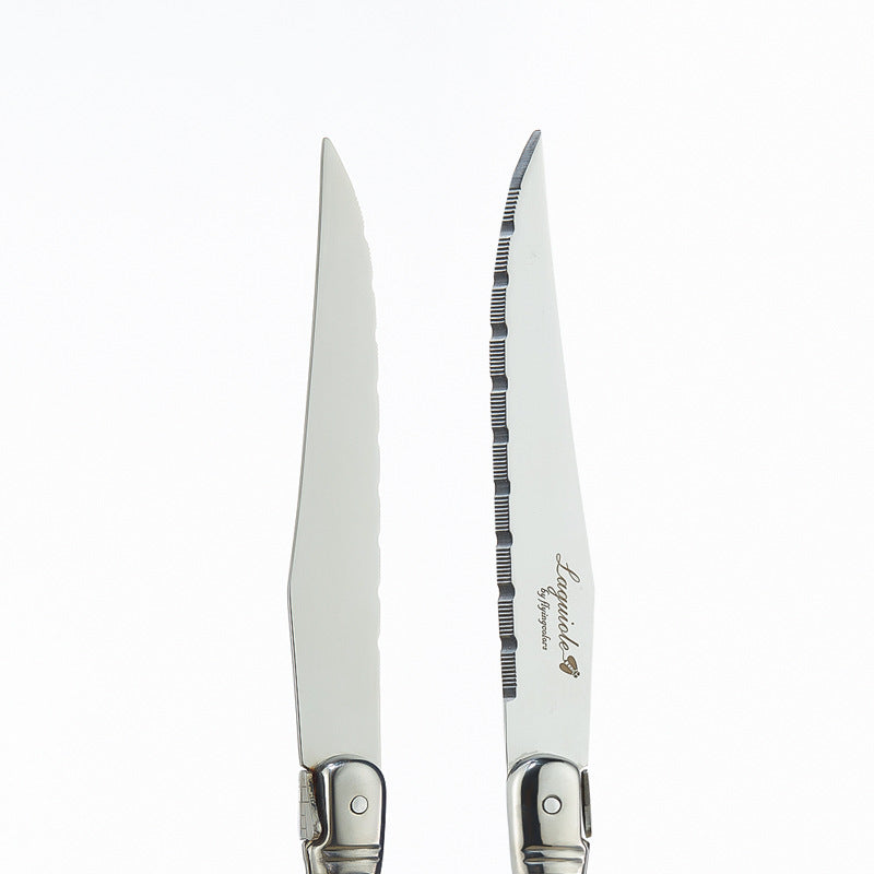 Stainless Steel Wooden Handle Knife Set